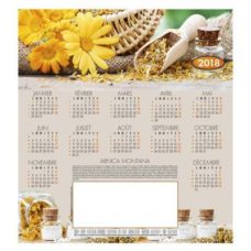 CALENDRIER SUR L'ARNICA "CHARLOTTE"