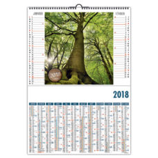 CALENDRIER ILLUSTRE DE 6 PHOTOS D'ARBRES MAJESTUEUX