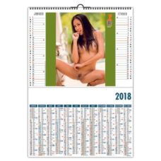 CALENDRIER ILLUSTRE DE 6 PHOTOS EROTIQUES NUS FEMME