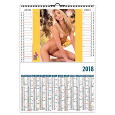 CALENDRIER ILLUSTRE DE 6 PHOTOS DE CHARME NUS FEMME