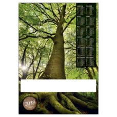 CALENDRIER POSTER ILLUSTRE D'UNE PHOTO D'ARBRE MAJESTUEUX