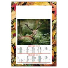 CALENDRIER ILLUSTRE DE 6 PHOTOS DE CHASSE