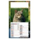 CALENDRIER CHIENS ET CHATS