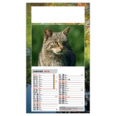 CALENDRIER CHIENS ET CHATS