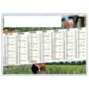 CALENDRIER PHOTOS DU MONDE AGRICOLE 7 MOIS PAR FACE