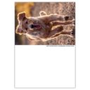 CALENDRIER PHOTOS DE CHIENS "FIDELE"