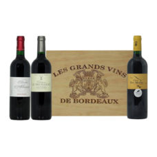 Vins de BORDEAUX coffret caisse bois 3 bouteilles "ŒNOLOGUE"